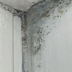 quale percentuale di umidità in casa