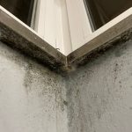 problemi di muffa in casa cause e rimedi