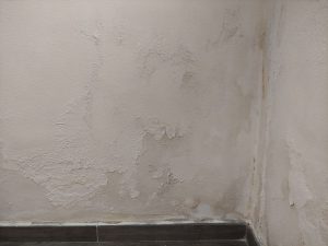 deterioramento muro per problemi di umidità di risalita capillare. Macchie scure diffuse e distacco dell'intonaco.