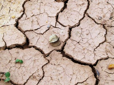 disidratazione ed essiccazione delle argille disidratazione ed essiccazione delle argille