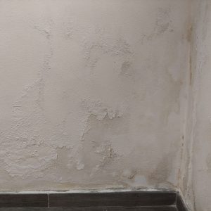 deterioramento muro per problemi di umidità di risalita capillare. Macchie scure diffuse e distacco dell'intonaco.